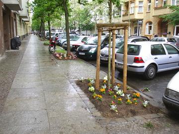 Erfolgreiche Pflanzaktion im Schöneberger Dreieck