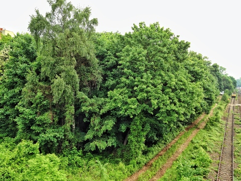 Blick von der Langenscheidt-Brücke auf die Wannseebahn - hier soll ein Park entstehen.