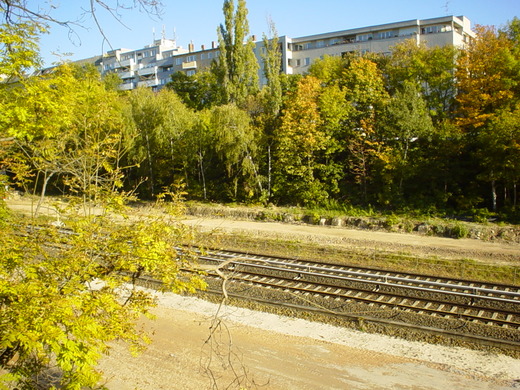 Die Bahnsteige des neuen S-Bahnhofs sollen neben den beiden Gleisen errichtet werden.